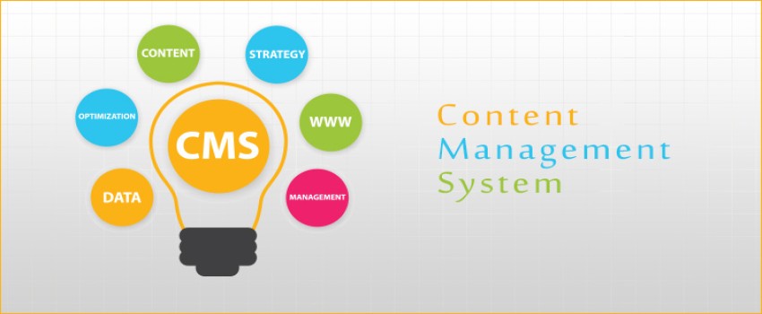 Top 10 Best CMS Platforms in 2022