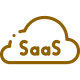 SaaS Development